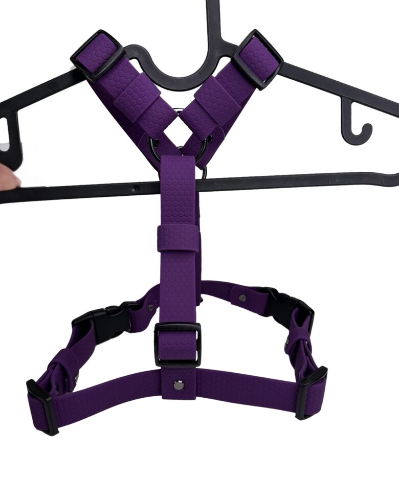 HEXA IEMAUKTI-DARK PURPLE